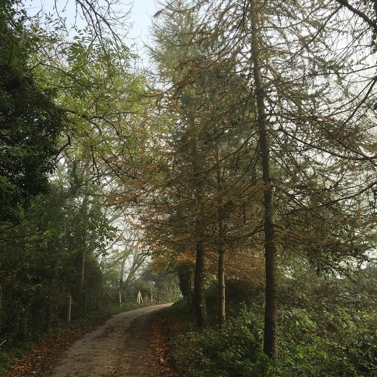 Pathways, Beachwood Cottage Бат Экстерьер фото